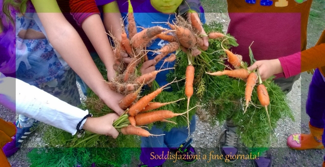 settembre raccolta carote bambini e ragazzi orto didattico orto delle tradizioni padova parco basso isonzo