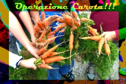 raccolta carote orto didattico bambini padova parco basso isonzo orti urbani sociali Arcadia e Auser