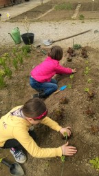 orto didattico bambini padova primavera lavori in orto garden kids padua