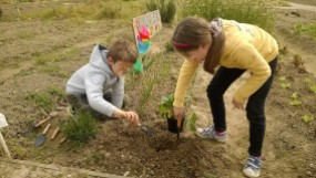 orto didattico bambini padova scuola piantare paletta pianta