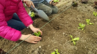 orto didattico come piantare insalata paletta bambini scuola