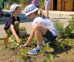 orto didattico padova bambini vacanze piantare piantine orto BIO