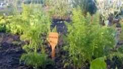 orto didattico parco basso isonzo padova fai da te segna piante bambini paletta pirografo indicatore giardino legno